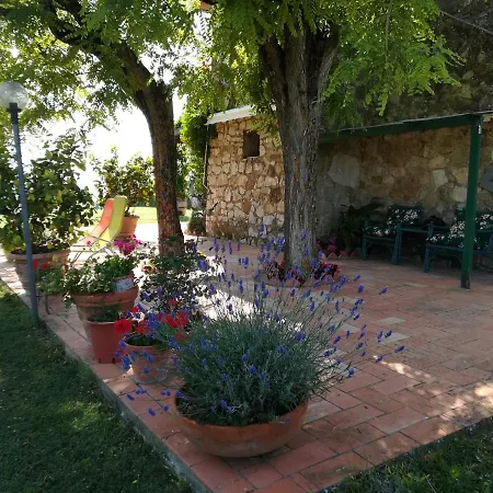 Casa In Collina Siena