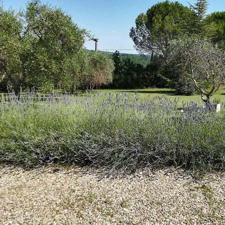 Casa In Collina Lejlighed Siena